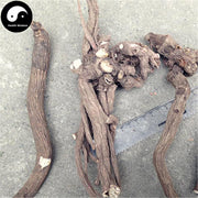 Chi Shao 赤芍, Radix Paeoniae Rubra, Red Paeony Root, Shan Shao Yao-Health Wisdom™