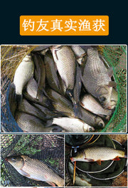 Chinese Herbs Mixed A Wei 阿魏 Asafoetida, Resina Ferulae For Fishing Diao Yu Liu Jun Zi 钓鱼六君子-Health Wisdom™
