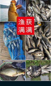 Chinese Herbs Mixed A Wei 阿魏 Asafoetida, Resina Ferulae For Fishing Diao Yu Liu Jun Zi 钓鱼六君子-Health Wisdom™