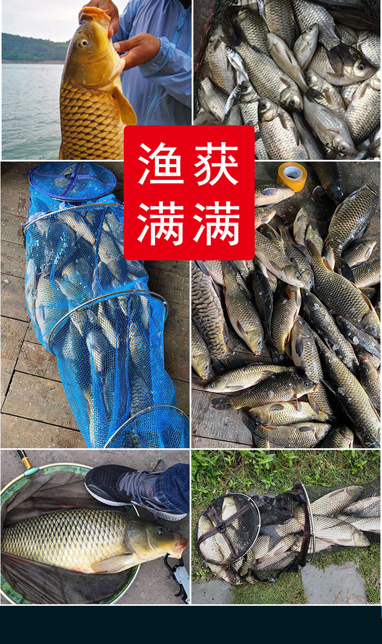 Chinese Herbs Mixed A Wei 阿魏 Asafoetida, Resina Ferulae For Fishing Diao Yu Liu Jun Zi 钓鱼六君子-Health Wisdom™