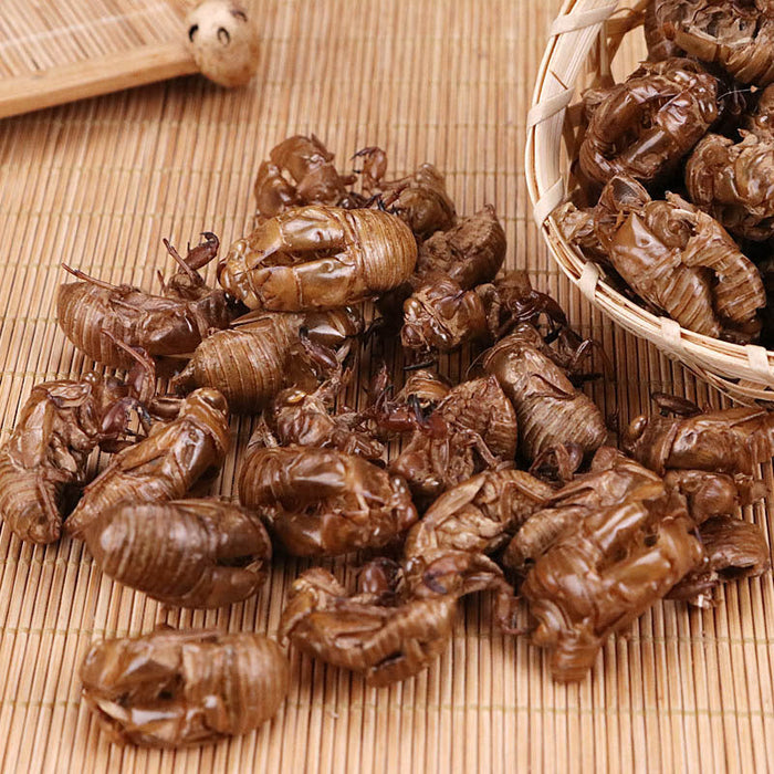 Chinese Herbs Powder Chan Tui 蝉蜕, Cicada Molting (Slough), Periostracum Cicadae, Cryptotympana