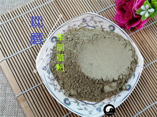 Chinese Herbs Powder Che Qian Cao 车前草, Plantain Herb, Herba Plantaginis