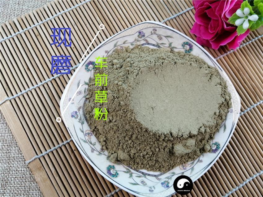 Chinese Herbs Powder Che Qian Cao 车前草, Plantain Herb, Herba Plantaginis