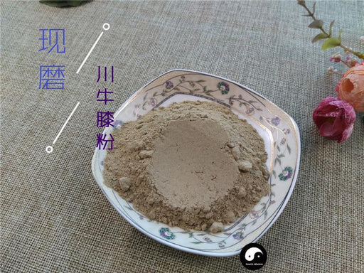 Chinese Herbs Powder Chuan Niu Xi 川牛膝, Radix Cyathulae, Cyathula Officinalis Kuan Root