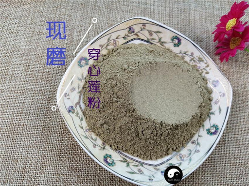Chinese Herbs Powder Chuan Xin Lian 穿心蓮, Herba Andrographis, Common Andrographis Herb, Ku Dan Cao