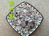 Chinese Herbs Powder Duan Mu Li 煅牡蛎, CONCHA OSTREAE, Oyster Shell
