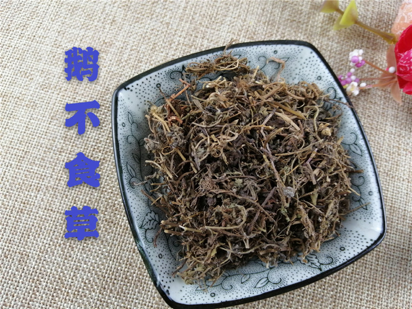 Chinese Herbs Powder E Bu Shi Cao 鵝不食草, Small Centipeda Herb, Herba Centipedae