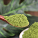 Chinese Herbs Powder Fan Xie Ye 番瀉葉, Folium Sennae, Senna Leaf Tea, Pao Zhu Ye, Zhan Na Ye