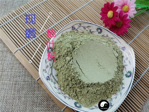Chinese Herbs Powder Gan Ju Ye 甘橘葉, Tangerine Leaf