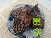 Chinese Herbs Powder Guan Zhong 貫眾, Cyrtomium Rhizome, Rhizoma Cyrtomii, Guan Jie