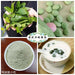 Chinese Herbs Powder Ji Shi Teng Ye 鸡矢藤叶, Chinese Fevervine Herb Leaf, Herba Paederiae Leaves