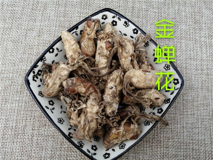 Chinese Herbs Powder Jin Chan Hua 金蝉花, Ophiocordyceps Sobolifera, Cicada Fungus