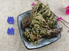 Chinese Herbs Powder Juan Bai 卷柏, Tamariskoid Spikemoss Herb, Herba Selaginellae, Shi Bai