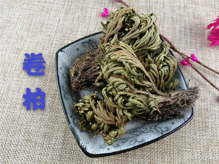 Chinese Herbs Powder Juan Bai 卷柏, Tamariskoid Spikemoss Herb, Herba Selaginellae, Shi Bai