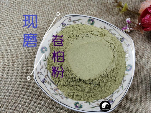 Chinese Herbs Powder Juan Bai 卷柏, Tamariskoid Spikemoss Herb, Herba Selaginellae, Shi Bai