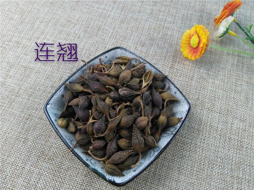 Chinese Herbs Powder Lian Qiao 連翹, Lao Qiao, Fructus Forsythiae, Forsythia Suspensa