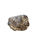 Chinese Herbs Powder Long Xian Xiang 龙涎香, Ambergris, Physeter Catodon