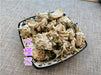 Chinese Herbs Powder Mu Jin Hua 木槿花, Shrubalthea Flower, Flos Hibisci Syriaci