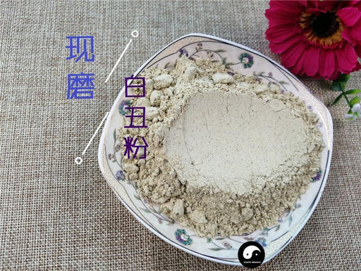 Chinese Herbs Powder Qian Niu Zi 牵牛子, Bai Chou 白丑, White Semen Pharbitidis, Pharbitis Seed