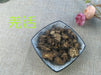 Chinese Herbs Powder Qiang Huo 羌活, Radix Notopterygii, Notopterygium Incisum Root
