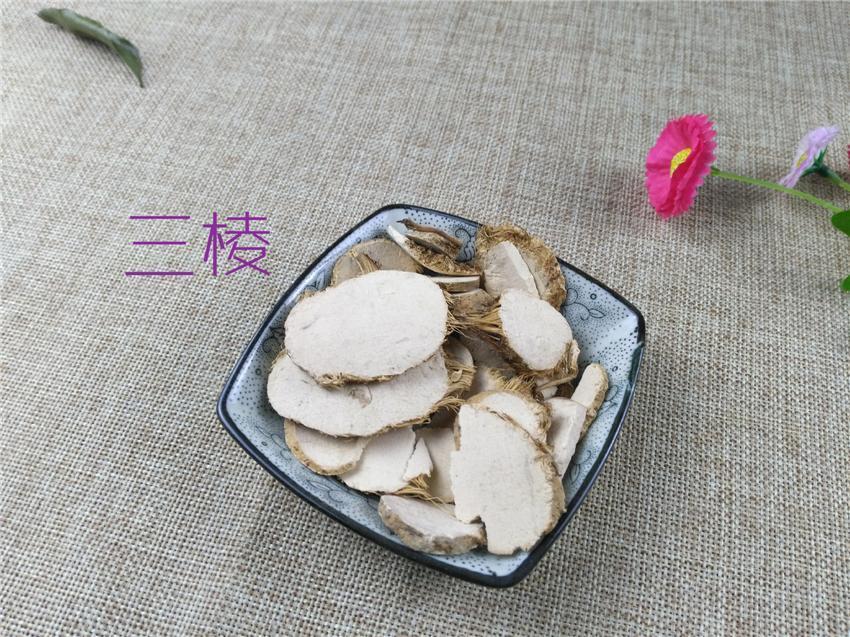 Chinese Herbs Powder San Leng 三棱, Rhizoma Sparganii, Common Burreed Rhizome