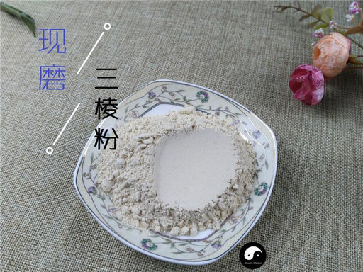 Chinese Herbs Powder San Leng 三棱, Rhizoma Sparganii, Common Burreed Rhizome
