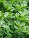 Chinese Herbs Powder Spice Xiang Dou Fen 香豆粉, Fenugreek Powder, Ku Dou Fen 苦豆粉