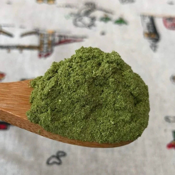 Chinese Herbs Powder Wu Fan Shu 乌饭叶, Nan Zhu Ye 南烛叶, Vaccinium Bracteatum Leaf, Black Rice