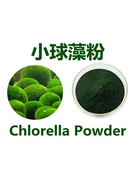 Chinese Herbs Powder Xiao Qiu Zao 小球藻, Chlorella Pyrenoidosa, Chlorella Powder