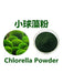 Chinese Herbs Powder Xiao Qiu Zao 小球藻, Chlorella Pyrenoidosa, Chlorella Powder