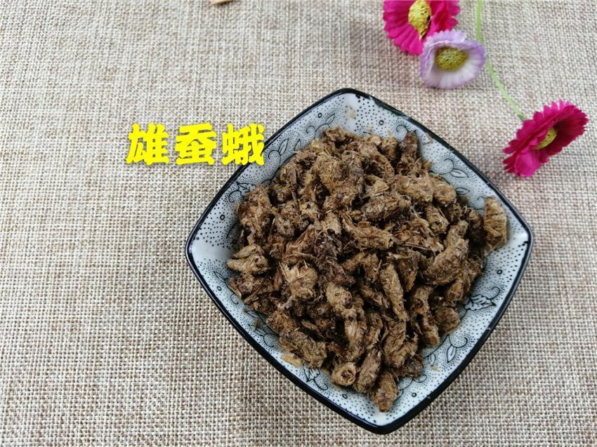 Chinese Herbs Powder Xiong Can E 雄蚕蛾, Male Silkworm Moth