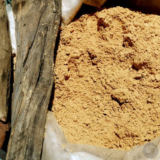 Chinese Herbs Powder Ya Bai Fen 崖柏粉, Thuja Sutchuenensis, Cliff Cypress Fragrant Powder