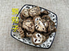 Chinese Herbs Powder Yu Zhi Zi 预知子, Ba Yue Zha, Fruit of Fiverleaf Akebia, Akebia Fruit, Fructus Akebiae