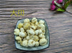 Chinese Herbs Powder Zhe Bei Mu 浙贝母, Bulb Of Thunberg Fritillary, Bulbus Fritillariae Thunbergii