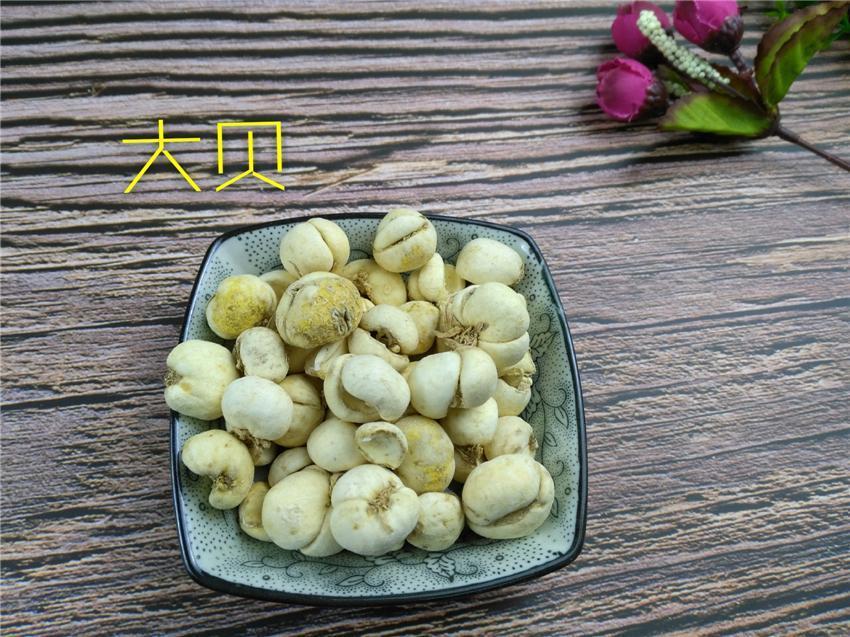 Chinese Herbs Powder Zhe Bei Mu 浙贝母, Bulb Of Thunberg Fritillary, Bulbus Fritillariae Thunbergii