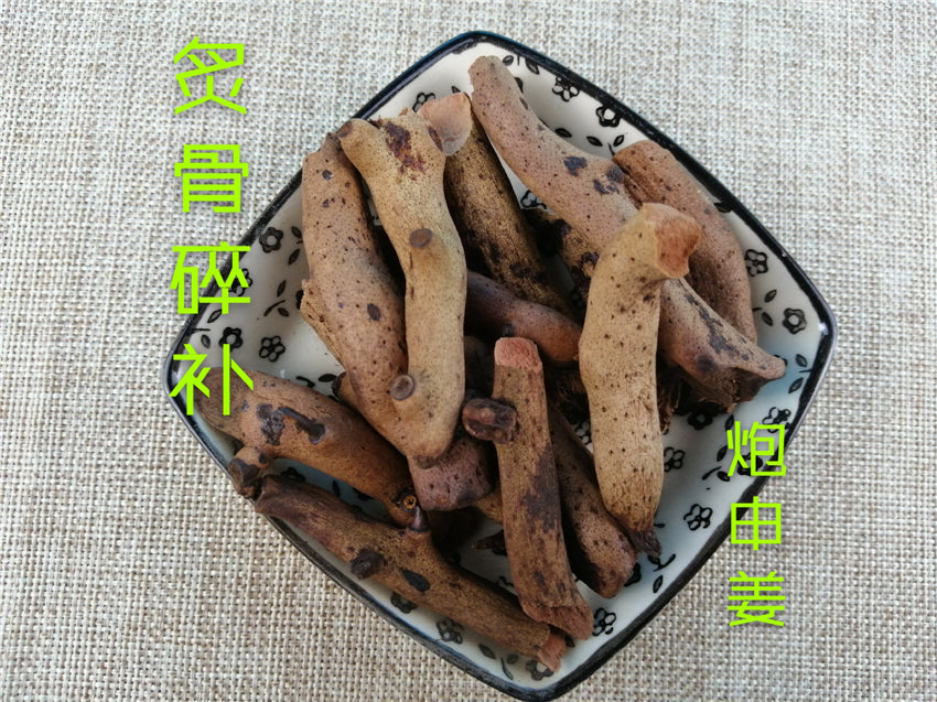 Chinese Herbs Powder Zhi Gu Sui Bu 炙骨碎補, Rhizoma Drynariae, Fortune's Drynaria Rhizome, Rou Sui Bu