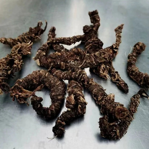 Chinese Herbs Powder Zhi Zhu Xiang 蜘蛛香, Jatamans Valeriana Rhizome, Ma Ti Xiang, Xie Cao