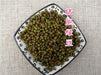 Chinese Herbs Powder Zhu Dan Lv Dou 猪胆绿豆, Green Bean And Pig's Gallbladder, Sus Scrofa Domestica Brisson