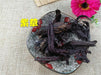 Chinese Herbs Powder Zi Cao 紫草, Radix Lithospermi, Sinkiang Arnebia Root, Radix Arnebiae, Redroot Gromwell Root