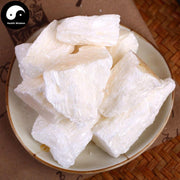 Chong Ba Lai 虫白蜡, Ericerus Pela, Chinese White Wax Bug-Health Wisdom™