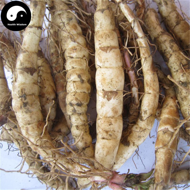 Chong Cao Di Shen 虫草地参, L.Lucidus Turcz Root, Ze Lan Gen, Di Shen-Health Wisdom™