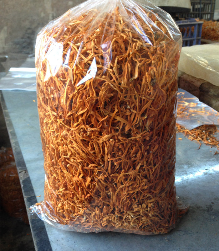 Chong Cao Hua 虫草花, Dried Cordyceps Militaris, Mushroom Cordyceps-Health Wisdom™