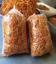 Chong Cao Hua 虫草花, Dried Cordyceps Militaris, Mushroom Cordyceps-Health Wisdom™