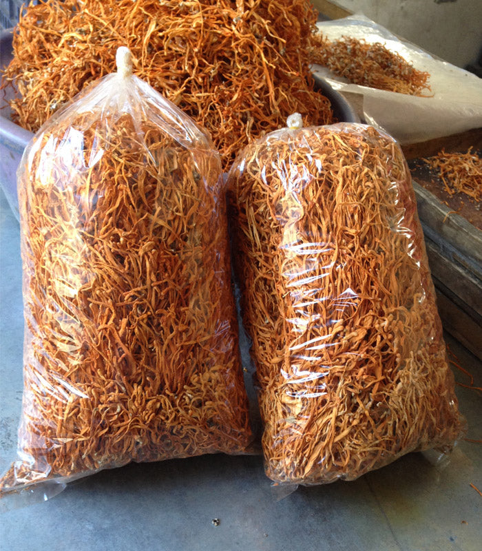 Chong Cao Hua 虫草花, Dried Cordyceps Militaris, Mushroom Cordyceps-Health Wisdom™