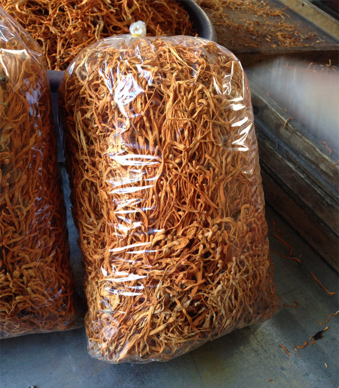 Chong Cao Hua 虫草花, Dried Cordyceps Militaris, Mushroom Cordyceps-Health Wisdom™