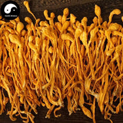 Chong Cao Hua 虫草花, Dried Cordyceps Militaris, Mushroom Cordyceps-Health Wisdom™