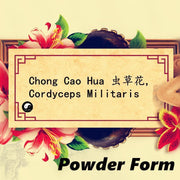 Chong Cao Hua Fen 虫草花粉, Cordyceps Militaris Powder, Mushroom Cordyceps-Health Wisdom™