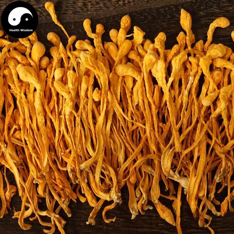 Chong Cao Hua Fen 虫草花粉, Cordyceps Militaris Powder, Mushroom Cordyceps-Health Wisdom™