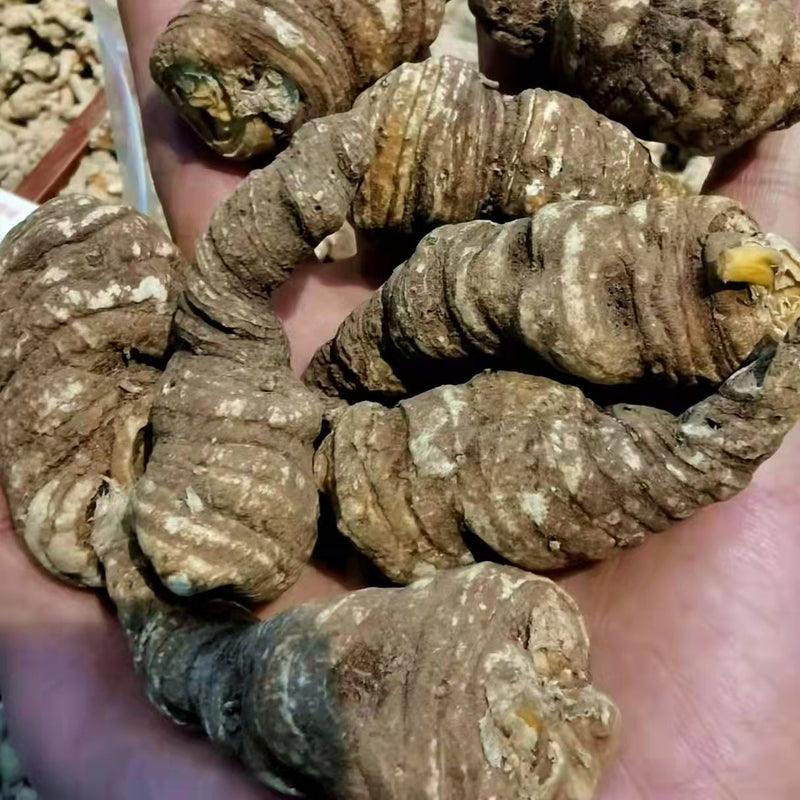 Chong Lou Fen 重樓粉, Pure Rhizoma Paridis Roots Powder, Chinese Paris Rhizome, Zhong Lou-Health Wisdom™