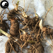 Chong Lou Fen 重樓粉, Pure Rhizoma Paridis Roots Powder, Chinese Paris Rhizome, Zhong Lou-Health Wisdom™